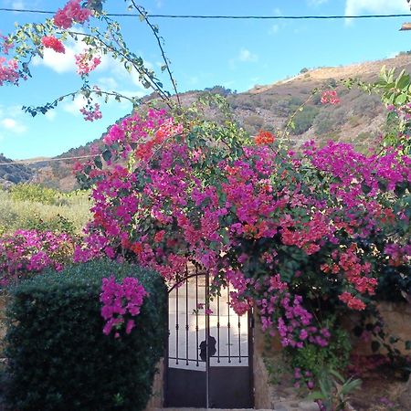 Heraklion Comfy House With Mountain View Εξωτερικό φωτογραφία