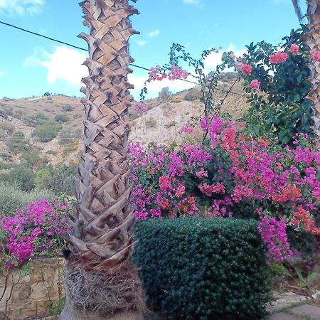 Heraklion Comfy House With Mountain View Εξωτερικό φωτογραφία