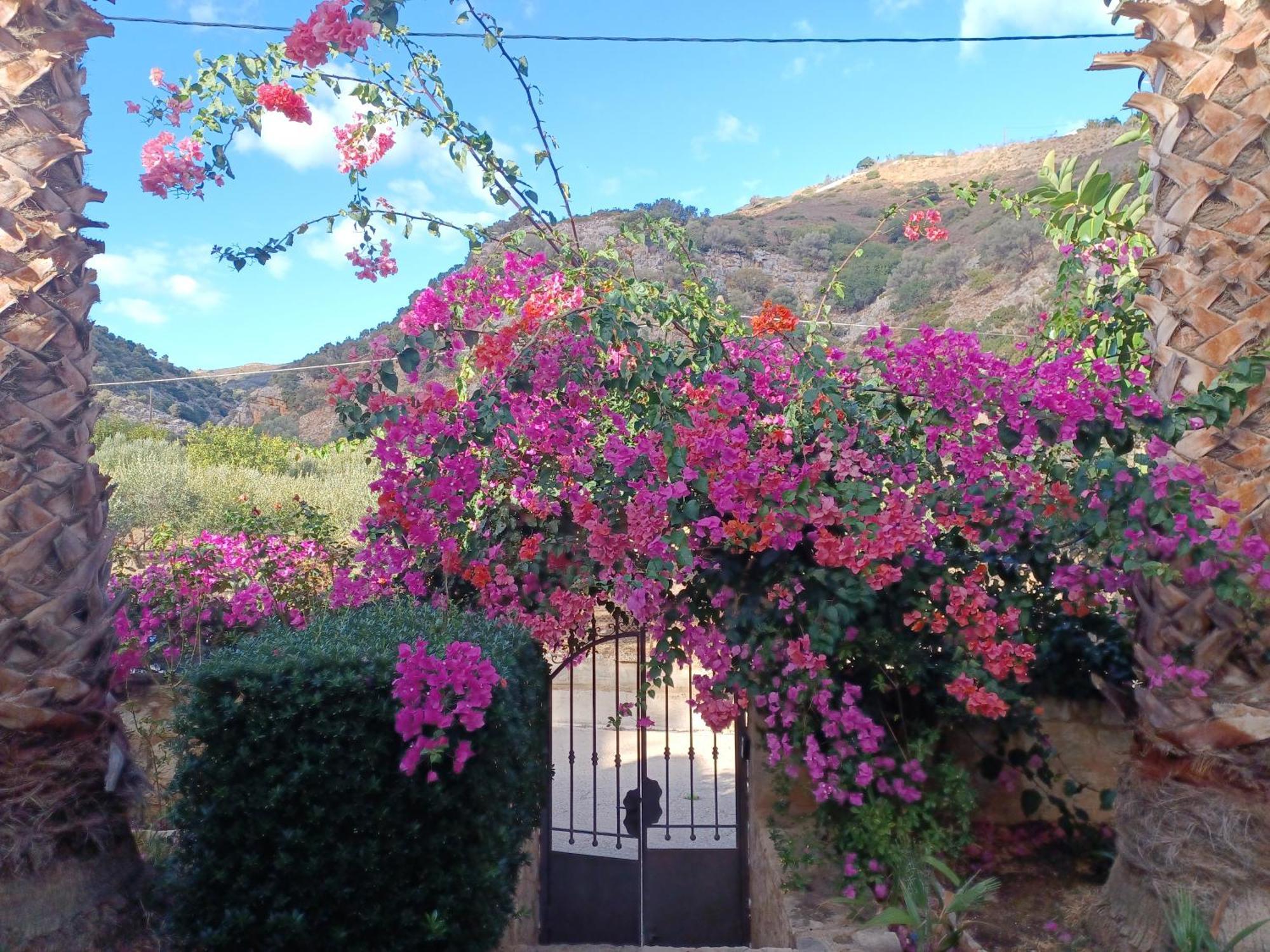 Heraklion Comfy House With Mountain View Εξωτερικό φωτογραφία