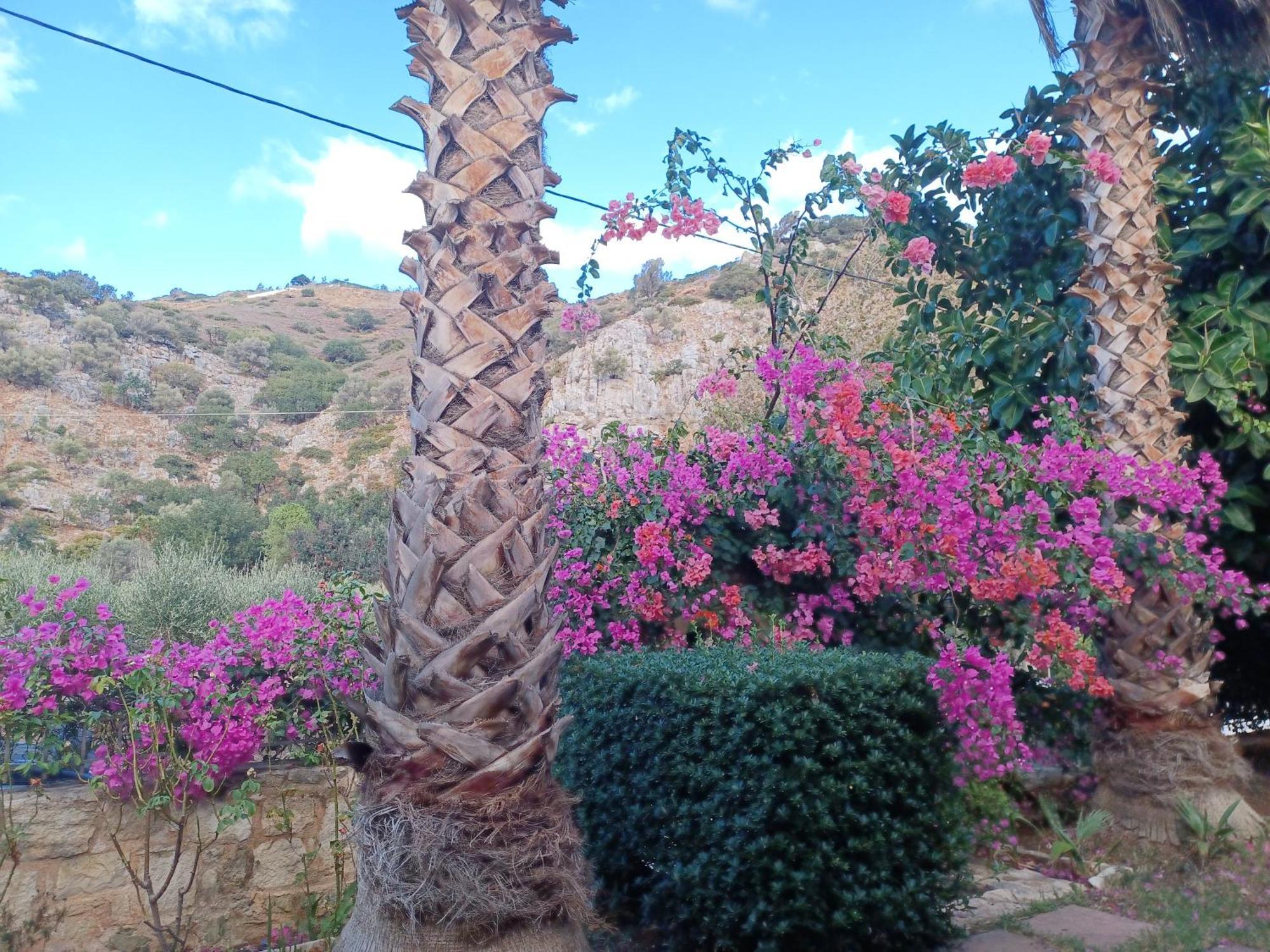Heraklion Comfy House With Mountain View Εξωτερικό φωτογραφία