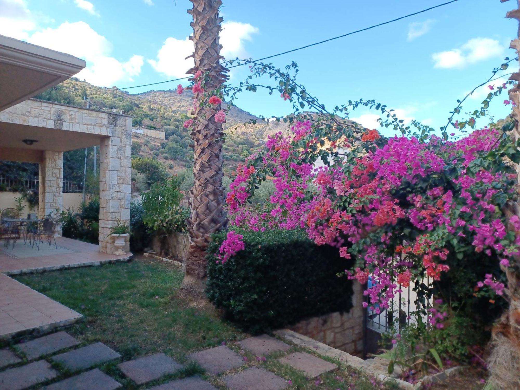 Heraklion Comfy House With Mountain View Εξωτερικό φωτογραφία